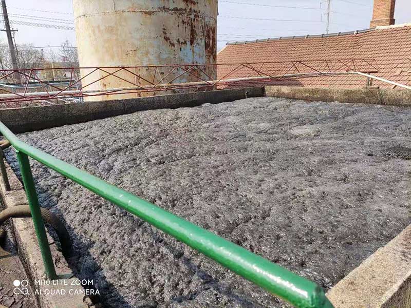 現(xiàn)場(chǎng)照片